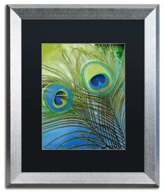Color Bakery 'Peacock Candy I' Art, Silver Frame, Black Matte, 16"x20"