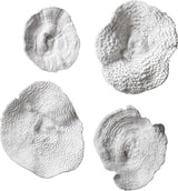 Uttermost Sea Coral Wall Art, Set of 4