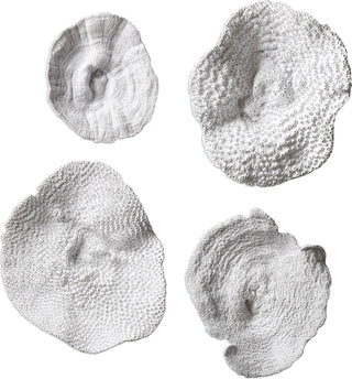 Uttermost Sea Coral Wall Art, Set of 4