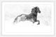 Marmont Hill, "Horse Excitement" Framed Painting Print