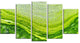 Polluted Water With Algae in Green, Abstract Canvas Artwork, 60"x32", 5 Panels