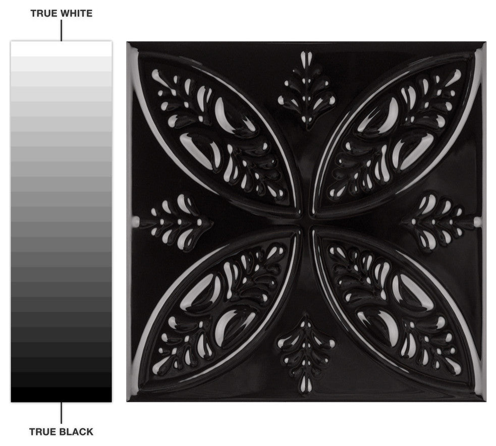 Trend 7-7/8" x 7-7/8" Ceramic Wall Tile, Black, Black