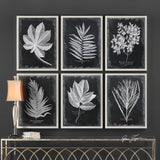 Foliage Framed Prints, Set of 6, by designer Grace Feyock