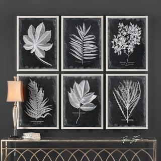 Foliage Framed Prints, Set of 6, by designer Grace Feyock