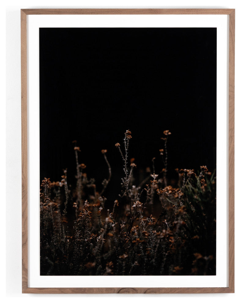 Escape I By Annie Spratt