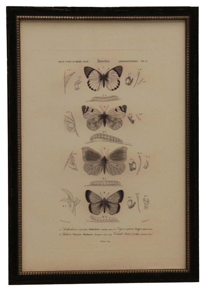 Four Black And White Butterfiles, Black With Silver Bead