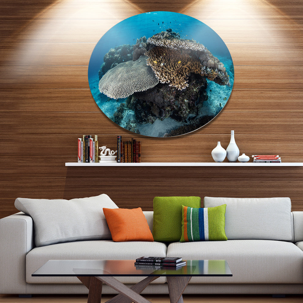 Corals And Fish In Komodo National Park, Seashore Disc Artwork, 11"