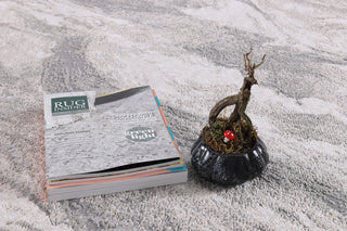 High-Low Silas Gray/Beige Rug, Gray, 7'9"x10'