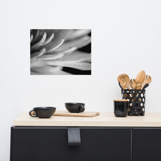 Droplets on Petals Black & White Floral Photo Unframed Wall Art Print, 12" X 16"