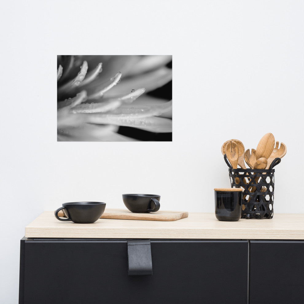 Droplets on Petals Black & White Floral Photo Unframed Wall Art Print, 12" X 16"