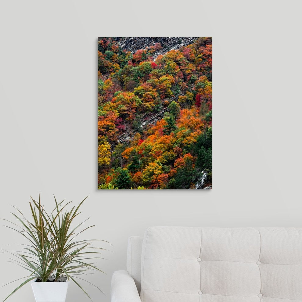 "Fall Strata" Wrapped Canvas Art Print, 18"x24"x1.5"