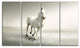 Beautiful White Horse Running, Animal Canvas Art Print, 48"x28", 4 Panels