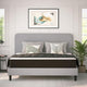 Dream 10 Inch Hybrid Mattress in a Box, White/Black, King
