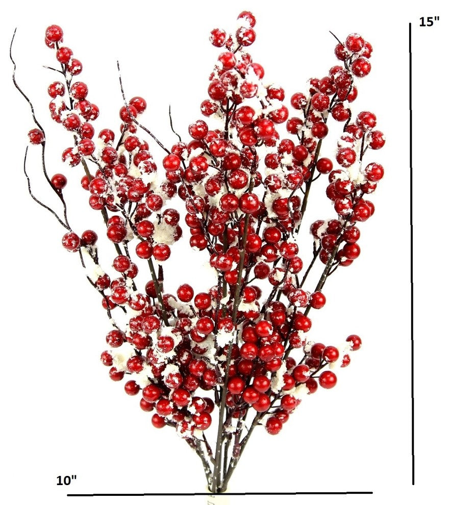 Winter Frost Berry Bush