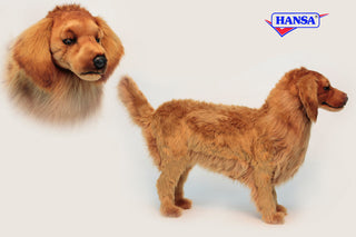 Life-Size Golden Retriever Stool