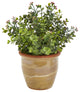 10" Eucalyptus and Sedum Succulent Artificial Plant, Ceramic Planter