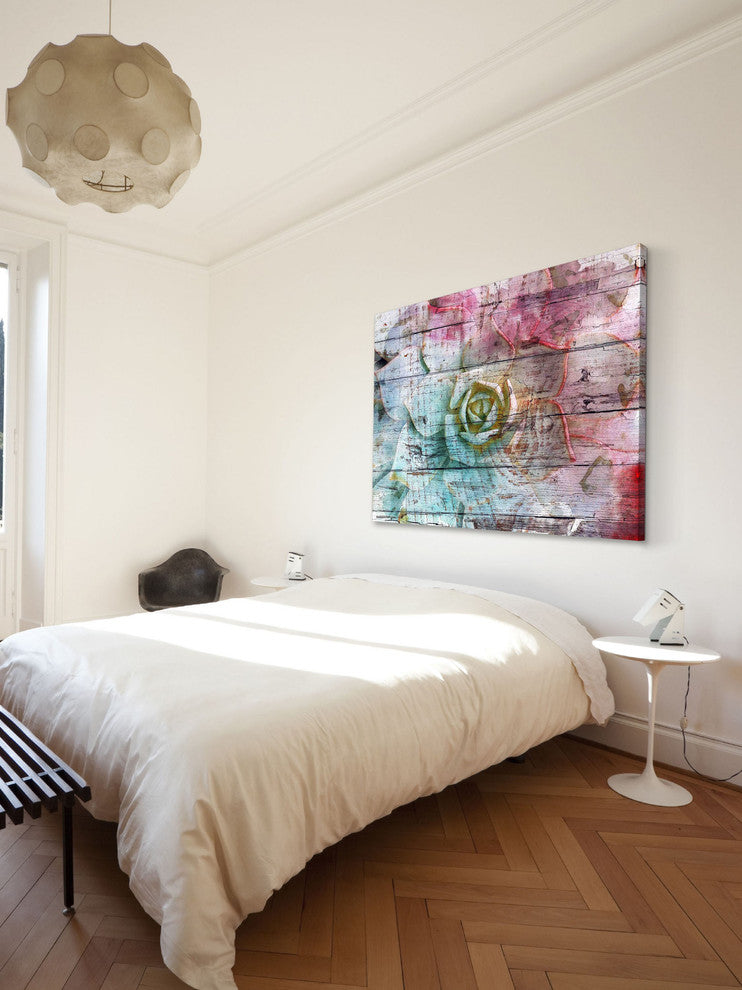 "Sommerwise Sempervivum Plant" Print on Canvas by Irena Orlov