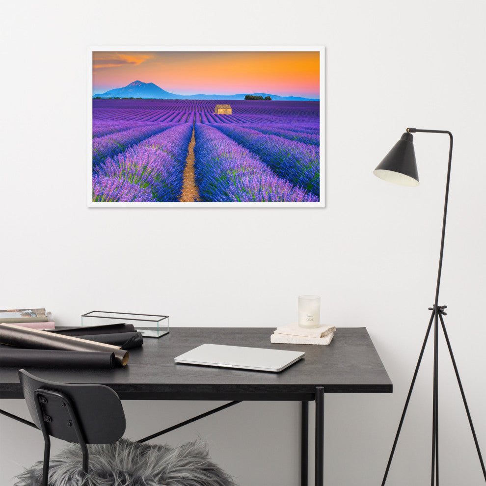 Blooming Lavender Field and Sunset Floral Landscape Framed Photo Wall Art Prints, White, 24" X 36"