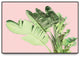 "Tropical Velvet I" Oversized Framed Canvas, 40" x 60"
