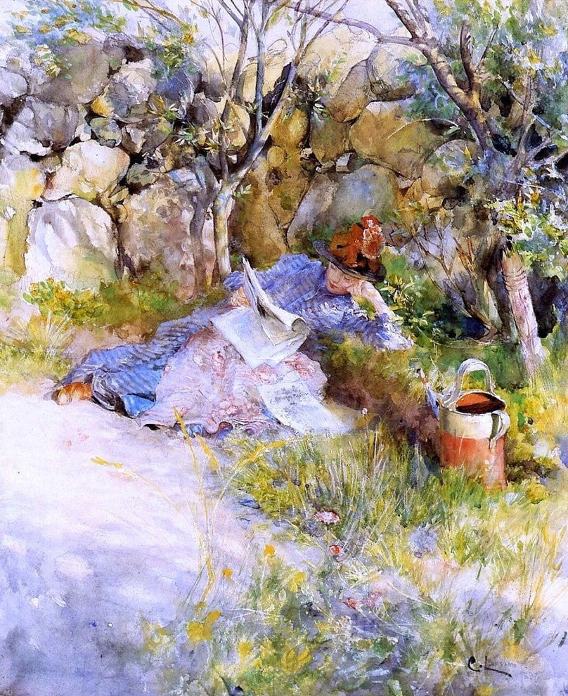 Carl Larsson A Lady Reading a Newspaper, 20"x25" Wall Decal Print