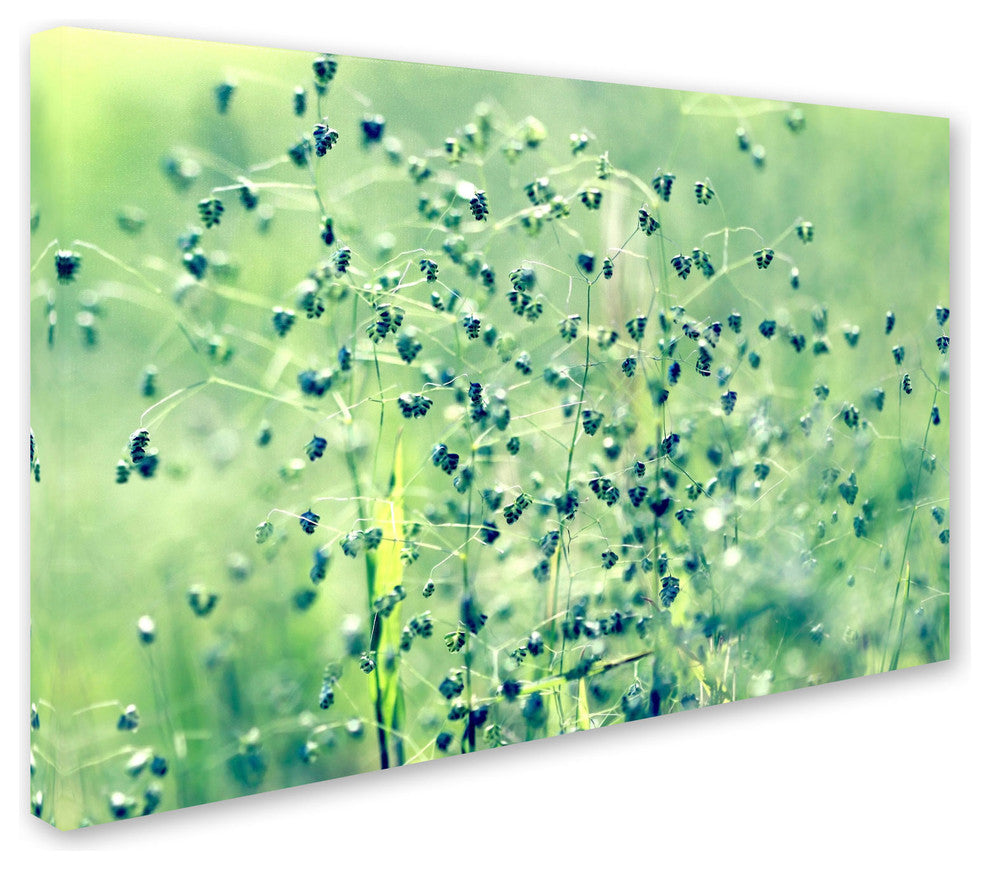 'Spring Notes' Canvas Art by Beata Czyzowska Young