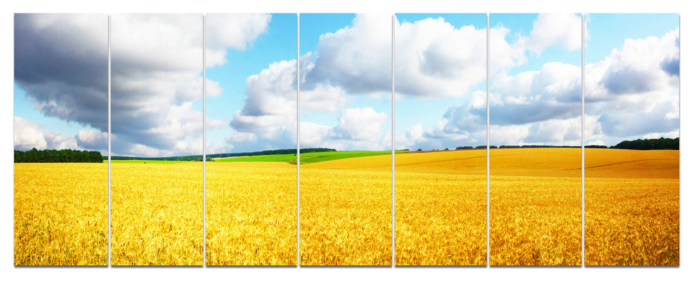 Beautiful Field Panorama, Landscape Canvas Art Print, 83"x32", 7 Panels