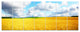 Beautiful Field Panorama, Landscape Canvas Art Print, 83"x32", 7 Panels