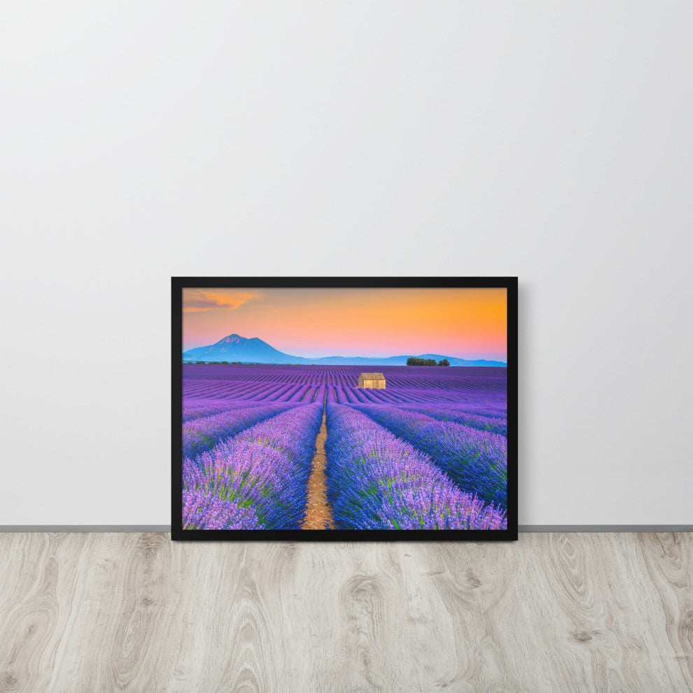 Blooming Lavender Field and Sunset Floral Landscape Framed Photo Wall Art Prints, Black, 18" X 24"