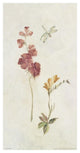 "Wild Wallflowers II" Digital Paper Print by Cheri Blum, 32"x62"