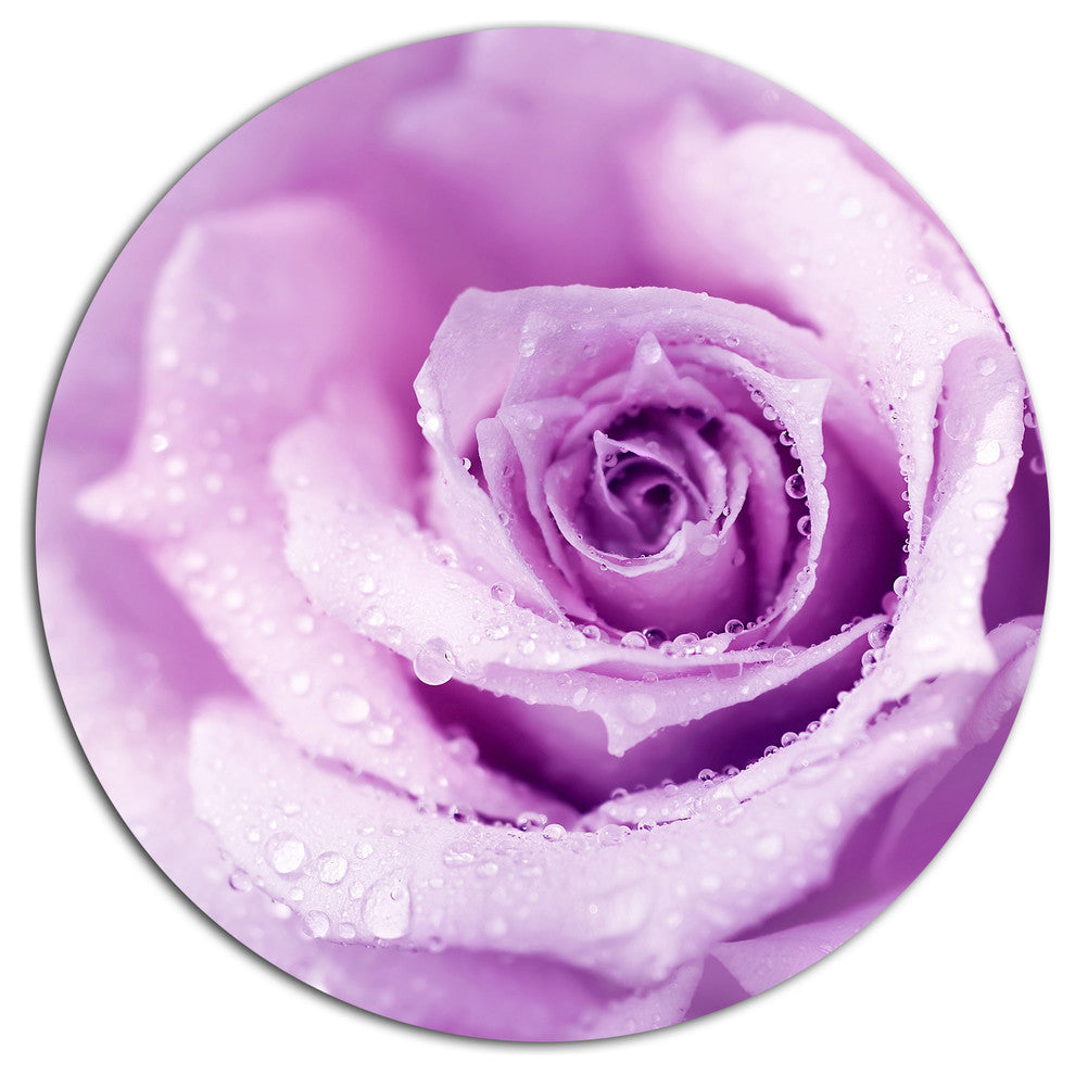 Purple Wet Rose Background, Flowers Round Wall Art, 36"