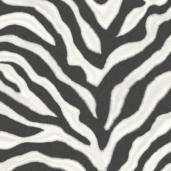 Zebra Print Wallpaper, Black and White, Bolt
