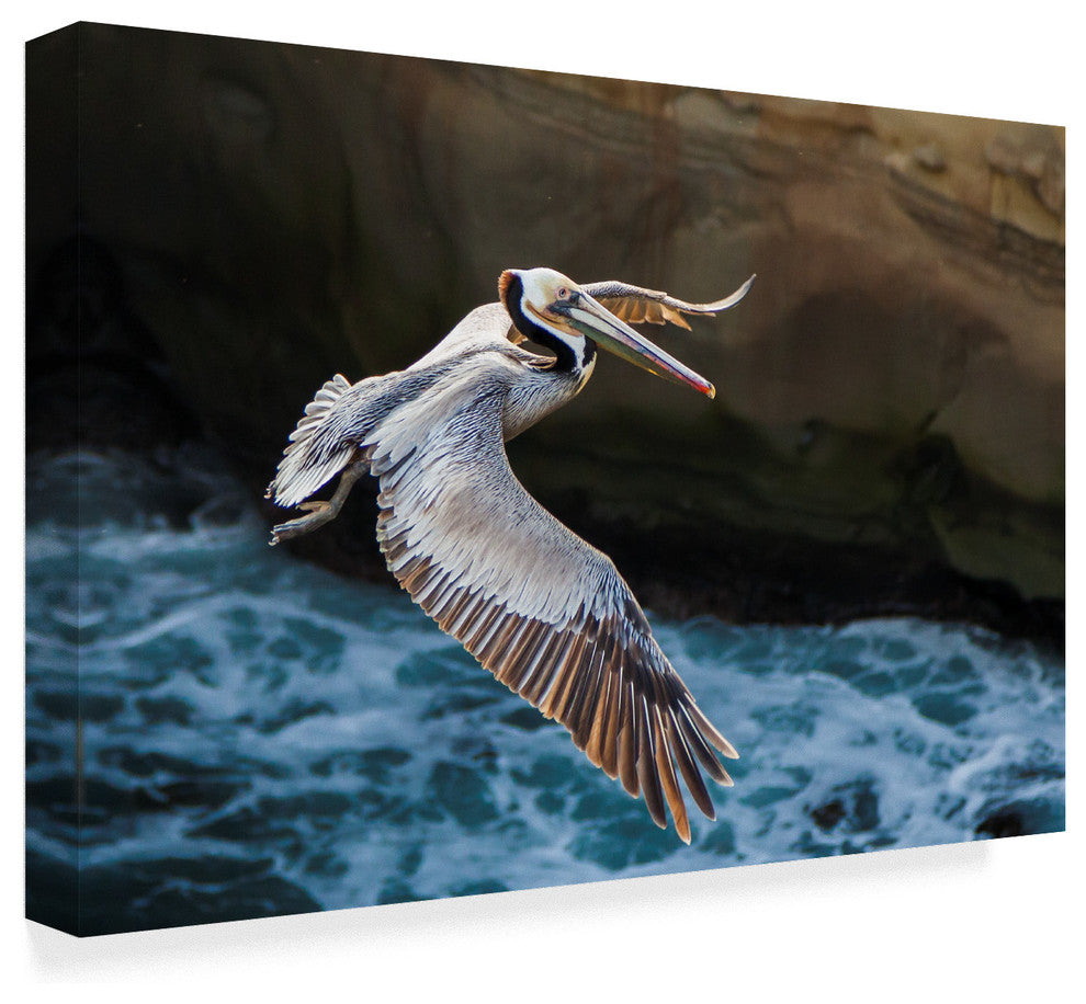 Chris Moyer 'Pelican Flight' Canvas Art, 47"x30"