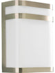 Valera 11" 1-Light Outdoor Wall Lantern Brushed Nickel White Acrylic Glass