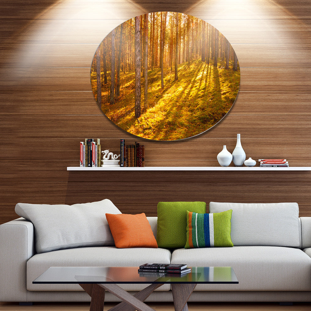 Beautiful Sunrays In Thick Forest, Forest Disc Metal Wall Art, 23"