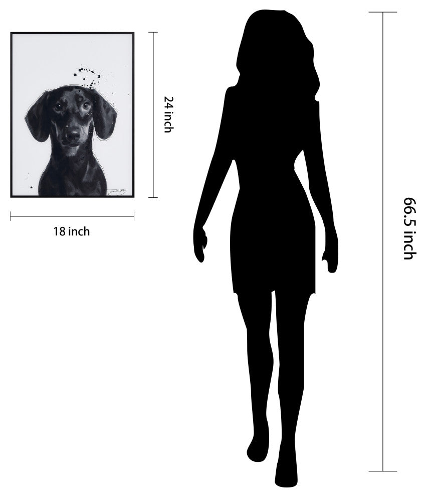 "Dachshund" Black and White Pet Art on Printed Glass Encased with Anodized Frame