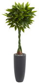 6" Money Artificial Tree, Gray Cylinder Planter, Real Touch