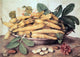 Giovanna Garzoni Plate of Peas, 18"x27" Gallery Wrapped Canvas Print