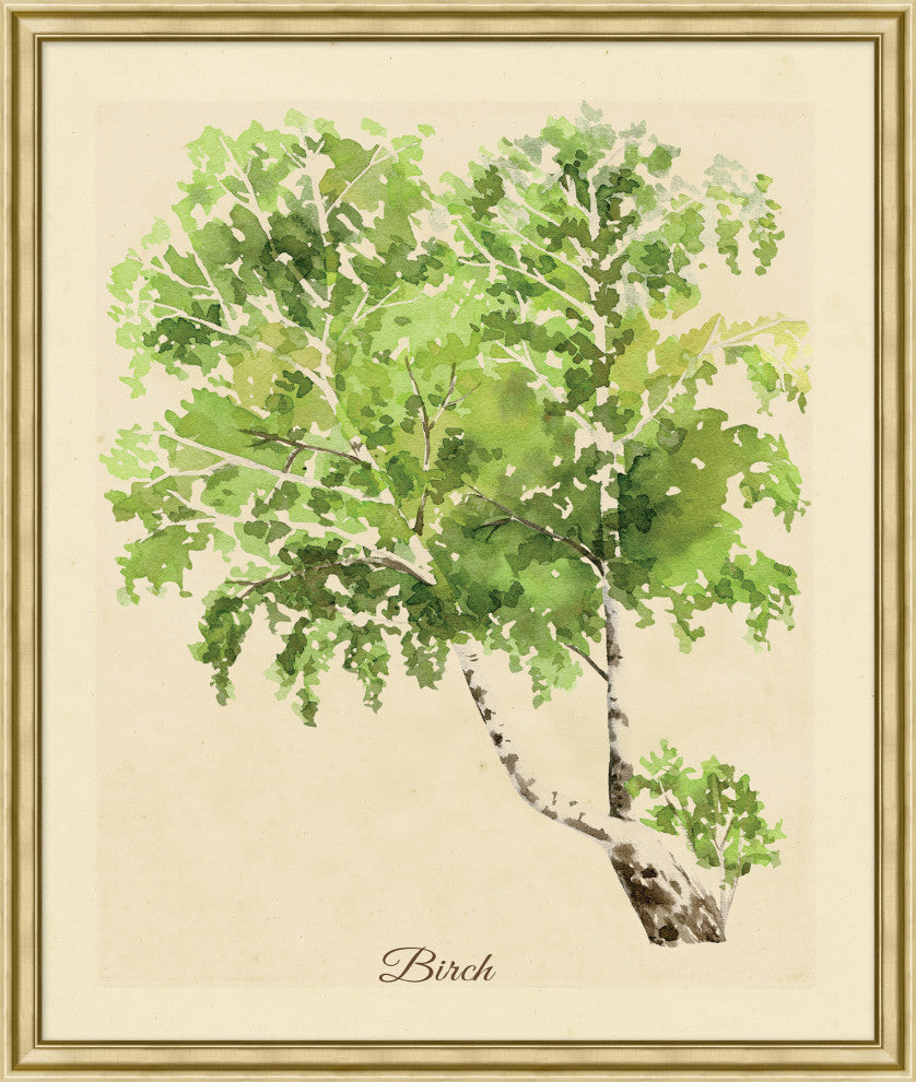Herbacious Study 4, Giclee Reproduction Artwork