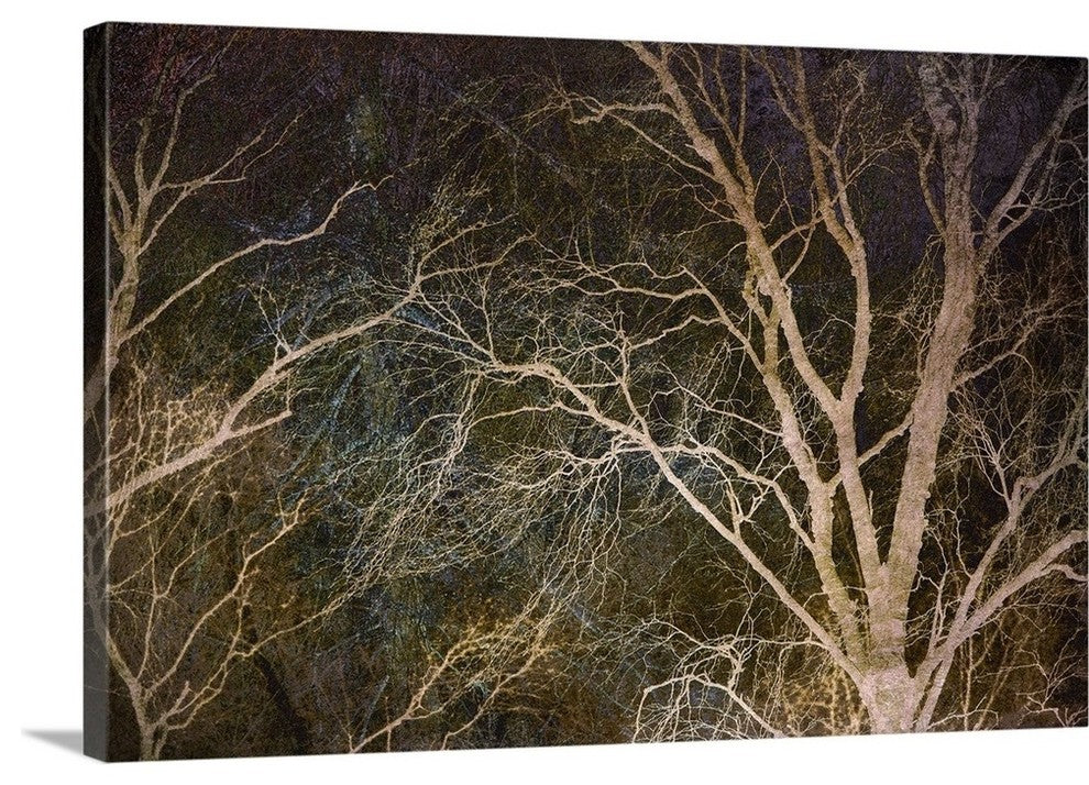 "Woodland Reach" Wrapped Canvas Art Print, 48"x32"x1.5"