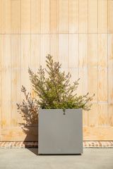 Veradek Block Series Cube Planter, Grey, Medium