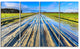 Muddy Sand Lane On Sunny Day, Landscape Canvas Art Print, 48"x28", 4 Panels