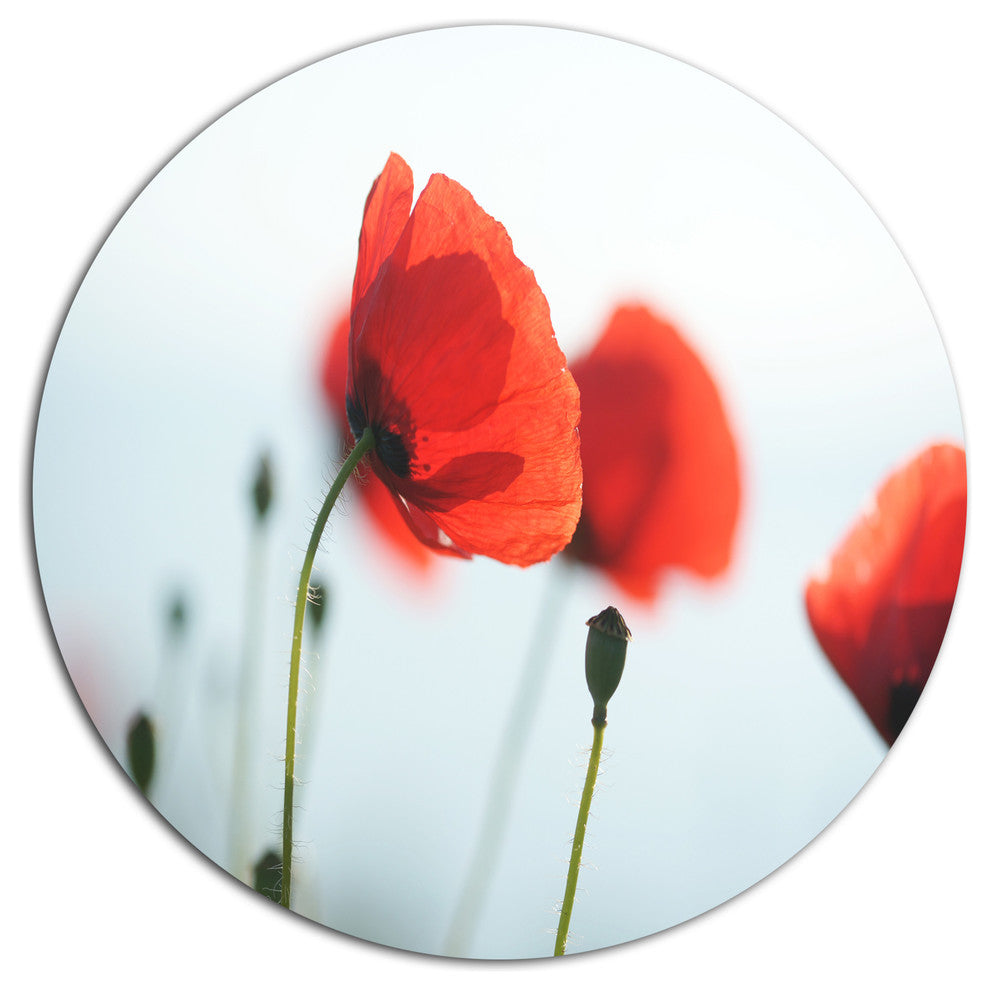 Poppies On Background Of Sea, Modern Floral Round Wall Art, 36"