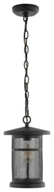 Safavieh Osprey Outdoor Pendant Black