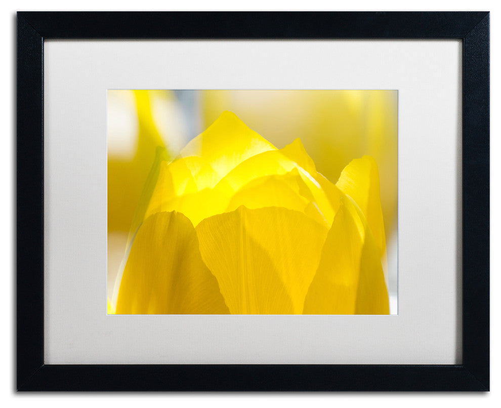 'Yellow Tulip' Matted Framed Canvas Art by Kurt Shaffer