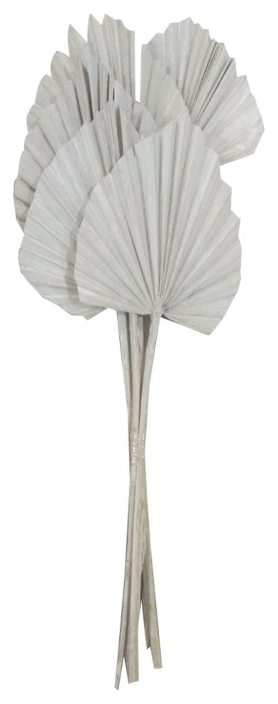 Vickerman Natural Botanicals 21" King Palm Spear, White Washed, 21"