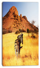 Lonely Zebra in African Prairie, African Canvas Art Print, 16"x32"