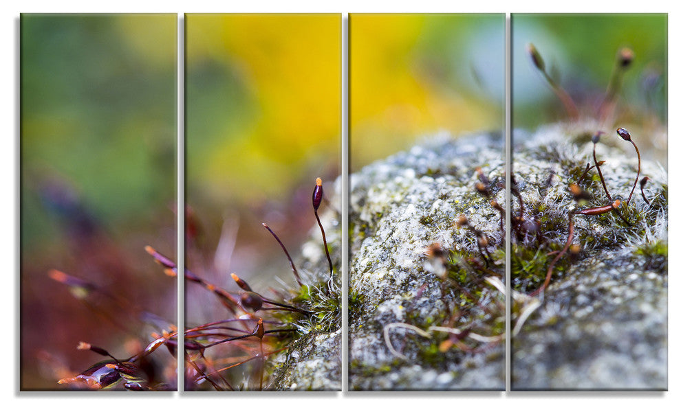 "Abstract Composition of Moss Flowers" Landscape Wall Art, 4 Panels, 48"x28"