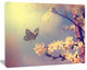 Vintage Butterfly and Cherry Tree, Large Floral Canvas Art Print, 60"x28"