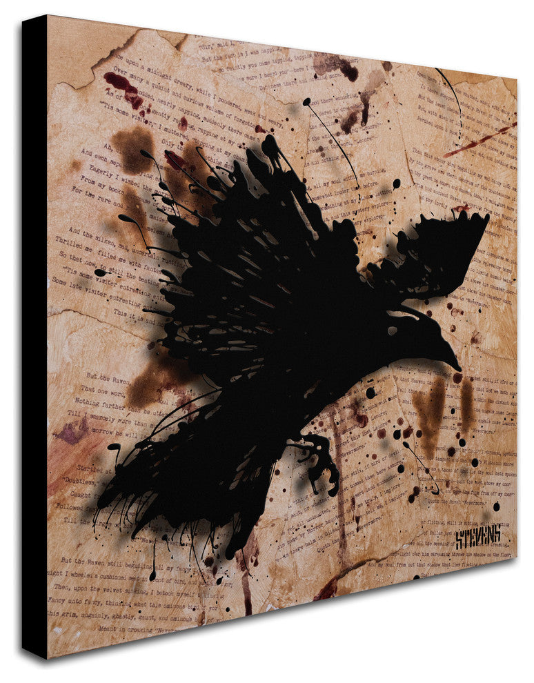 ''The Raven 1'' Canvas Art by Roderick Stevens