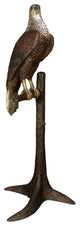 Falcon Perched on a Tree Branch, 67" Design Sculpture